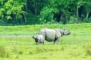 kaziranga-national-park